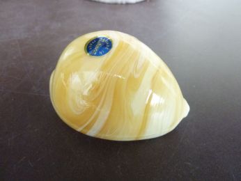 coquillage en verre, verre de Murano, verre soufflé, artisanat vénitien 