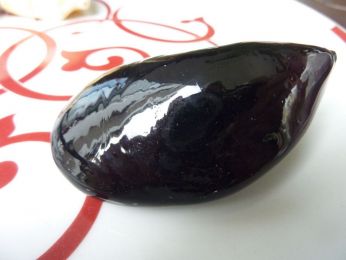 coquillage en verre soufflé  de Murano , noir 